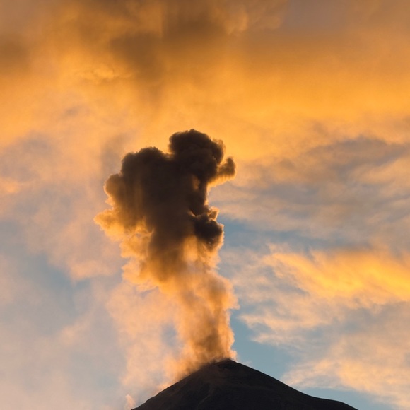 Whooooops - Picture 1 of 1